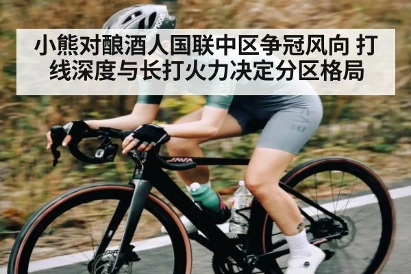 小熊对酿酒人国联中区争冠风向 打线深度与长打火力决定分区格局（kaiyun.com）